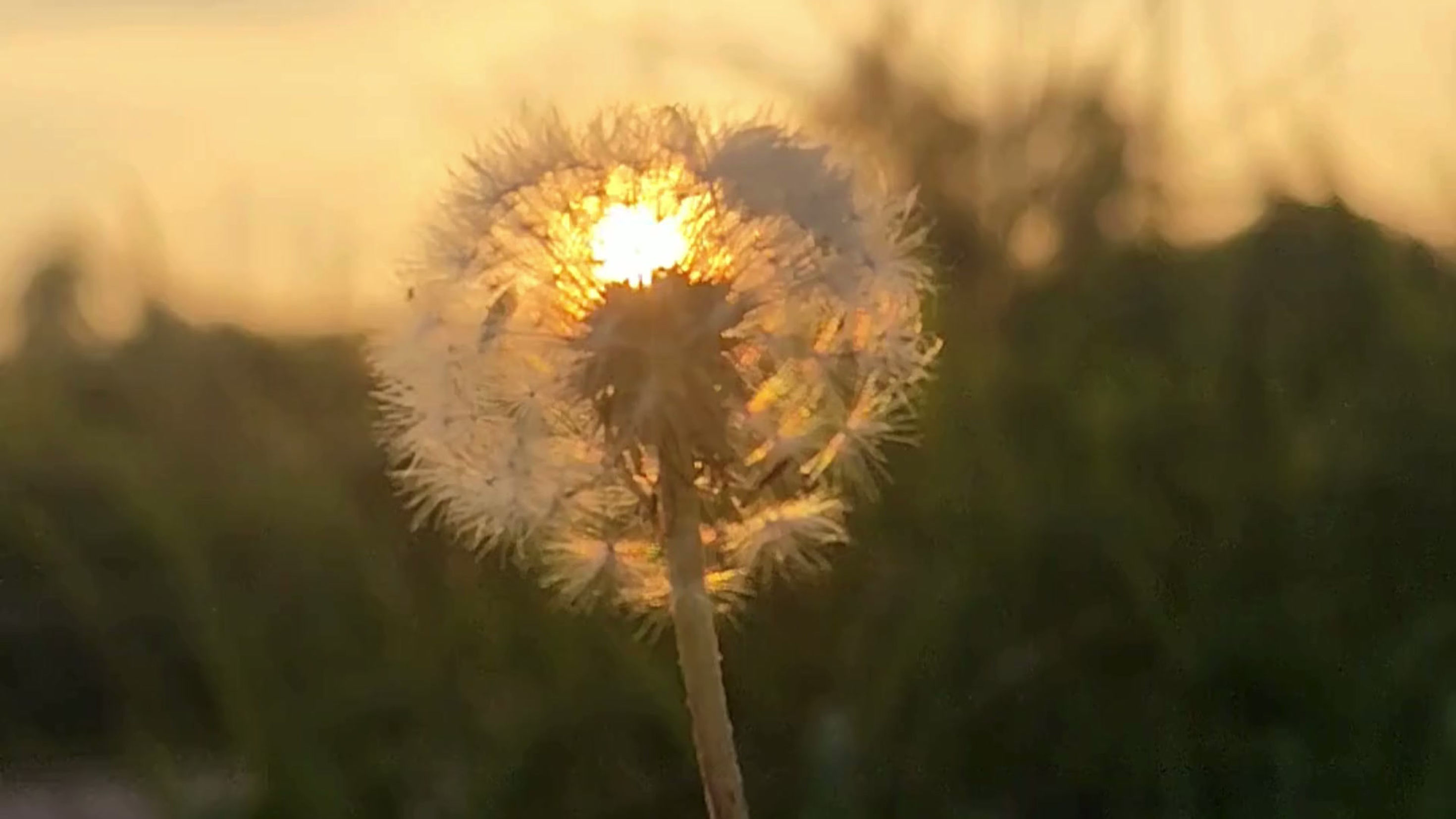 Présentation projet
